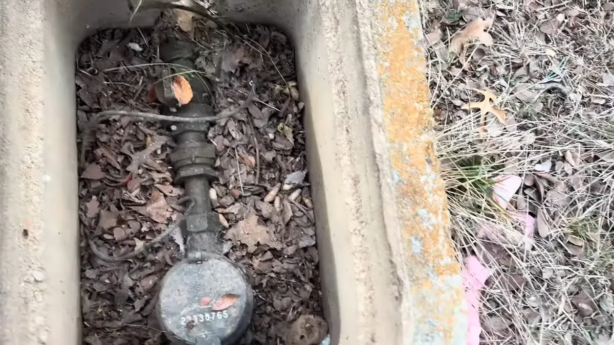 Outdoor valve and backflow fitting installed in a ground-level utility box during plumbing service in White Tank Mountain Regional Park
